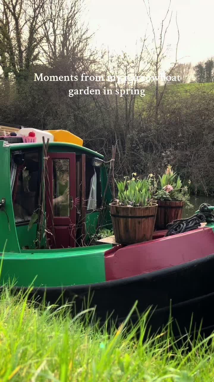 @In the Cottage Garden 🌻