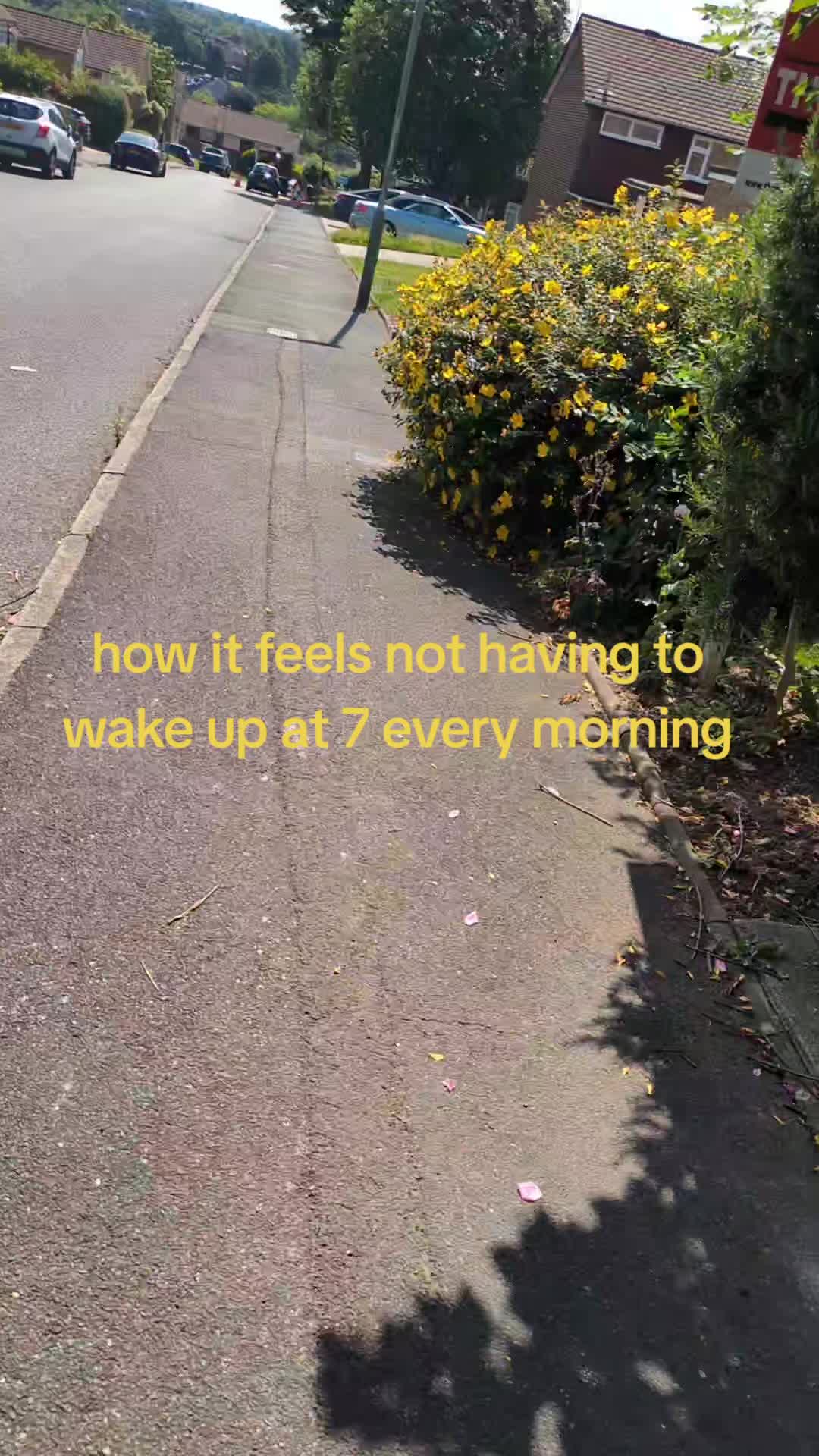 @Mylv