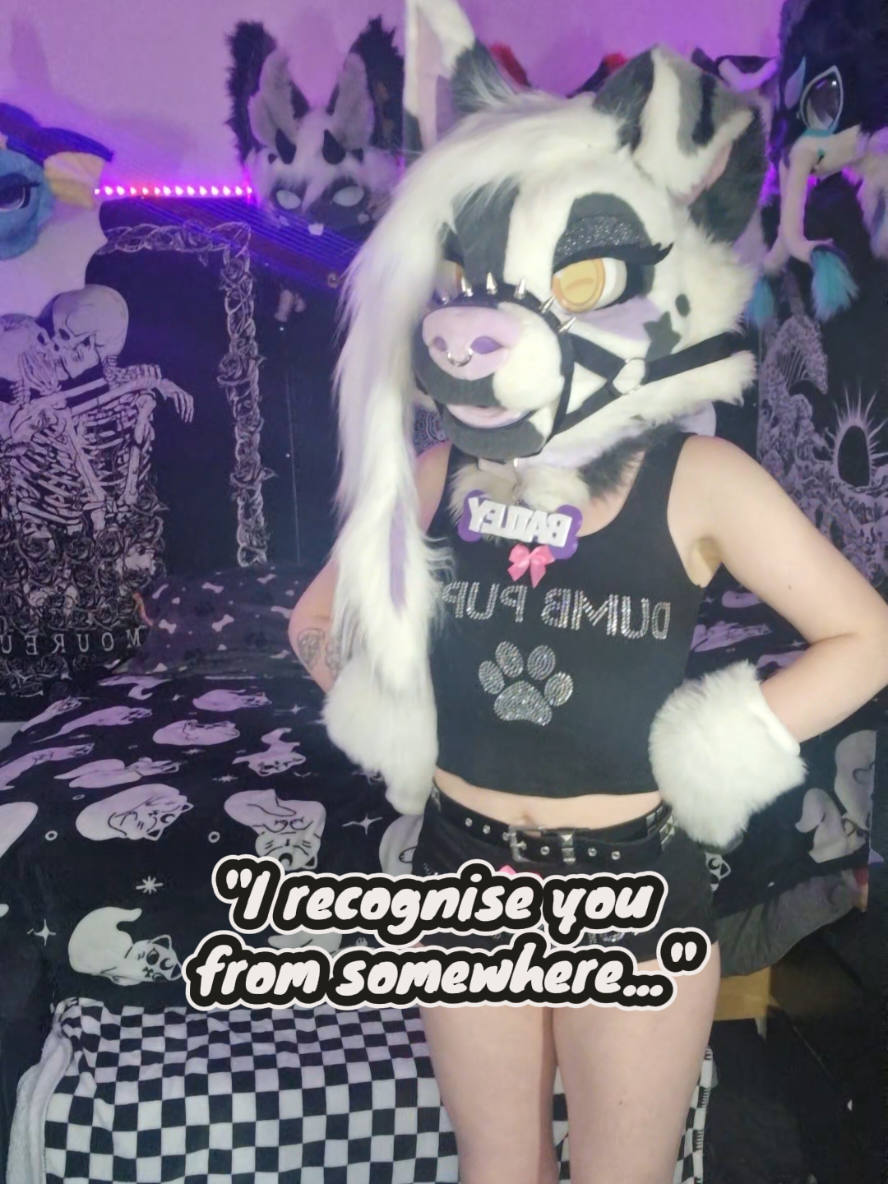 @Bailey (lilpixiekitten)