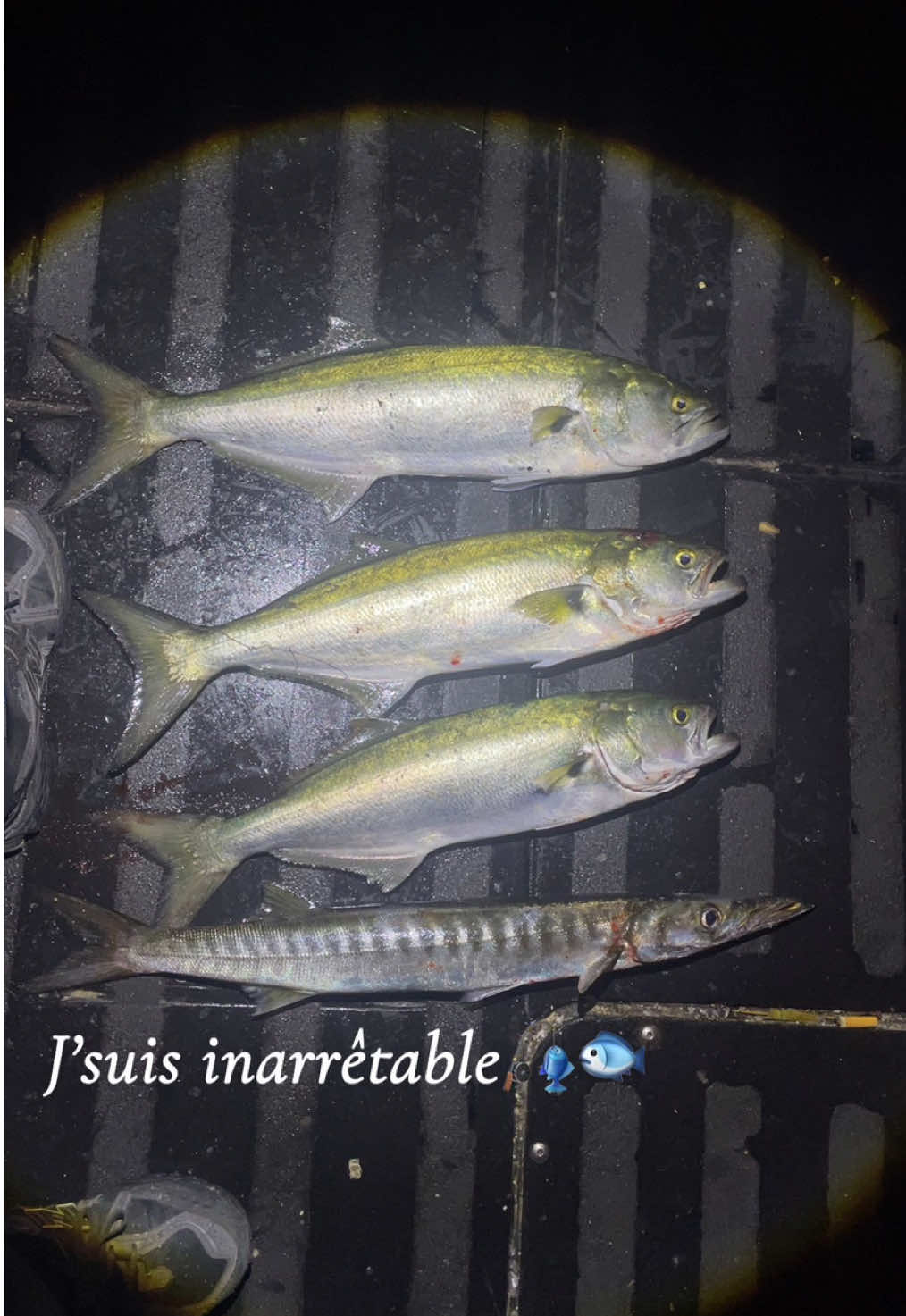 @P&ecirc;cheur Masqu&eacute;