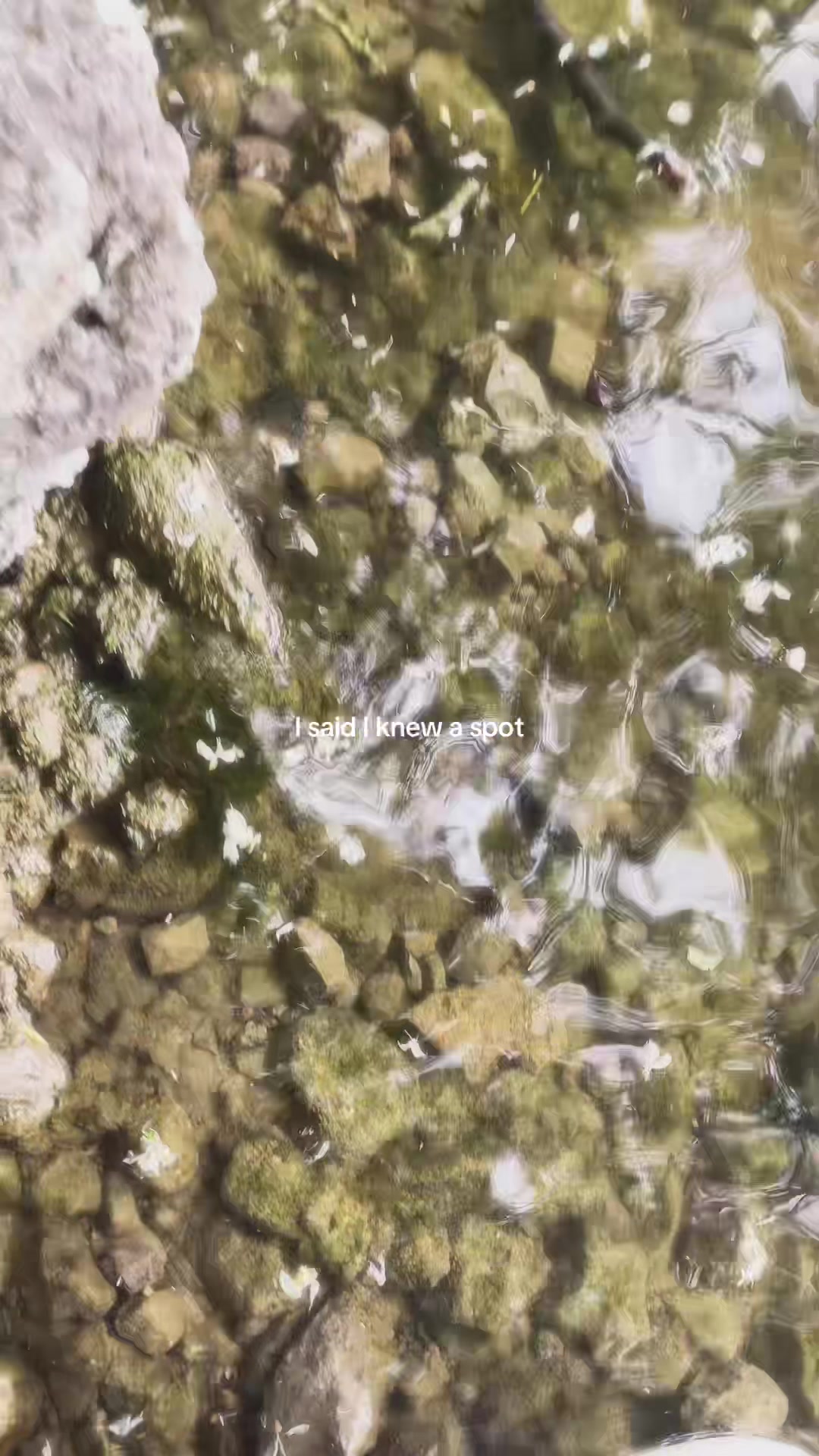 @⭐️𝐀𝐁𝐁𝐀⭐️