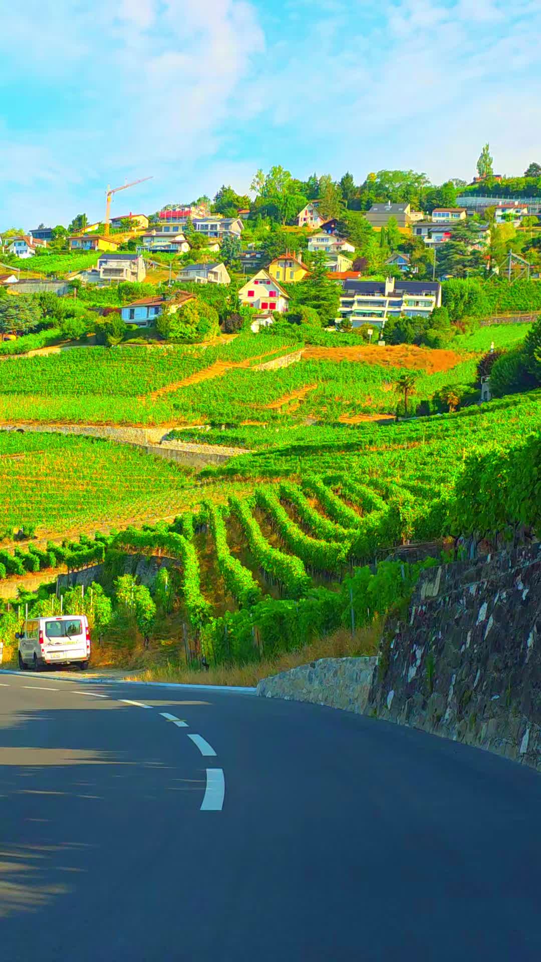 @🇨🇭flores Sérgio 🇵🇹