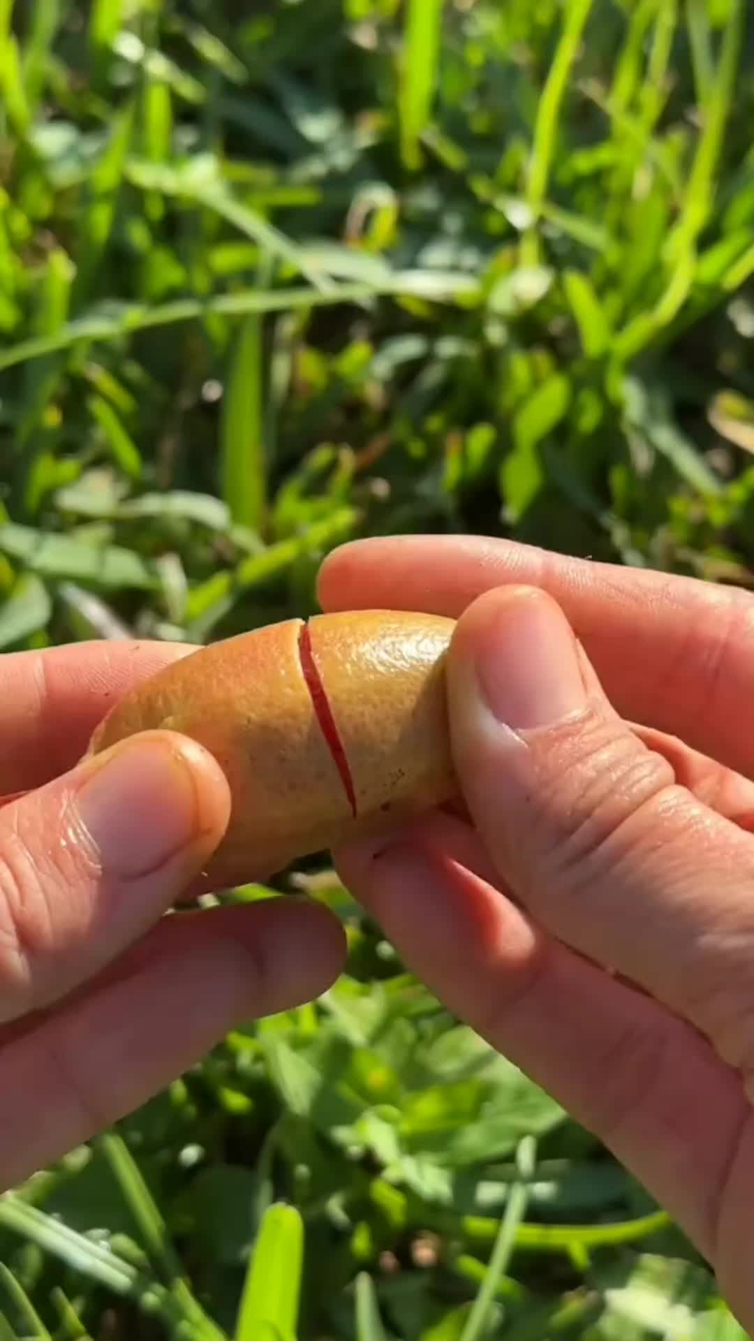 @Nature Et Sant&eacute;