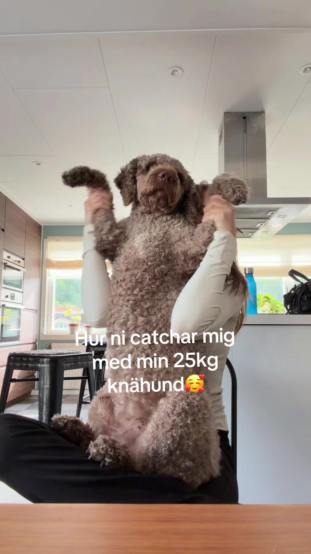 @Alva Andersson🍒