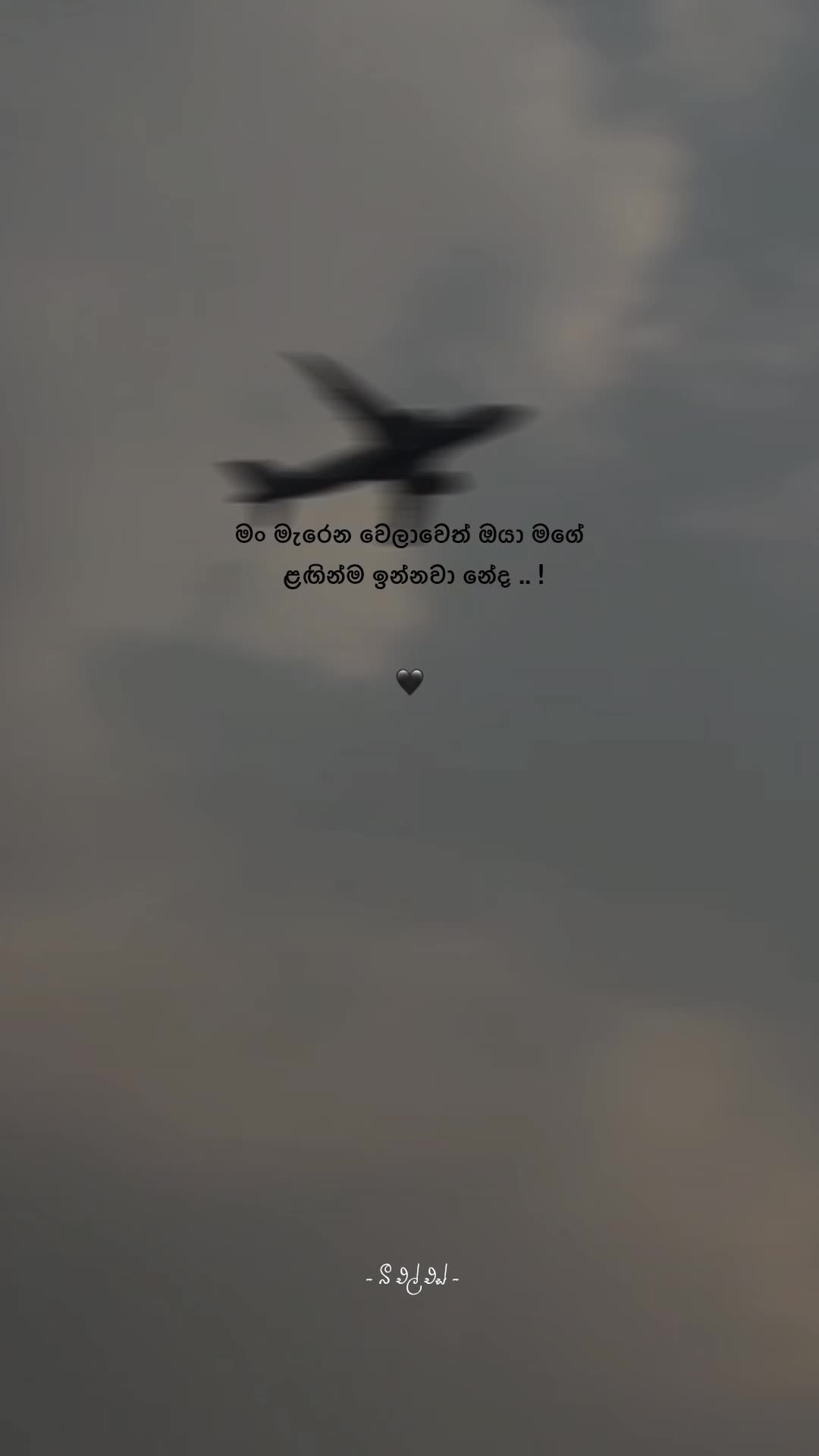 @𝒯𝒽𝑒 𝐵𝓁𝓈 ♡ !