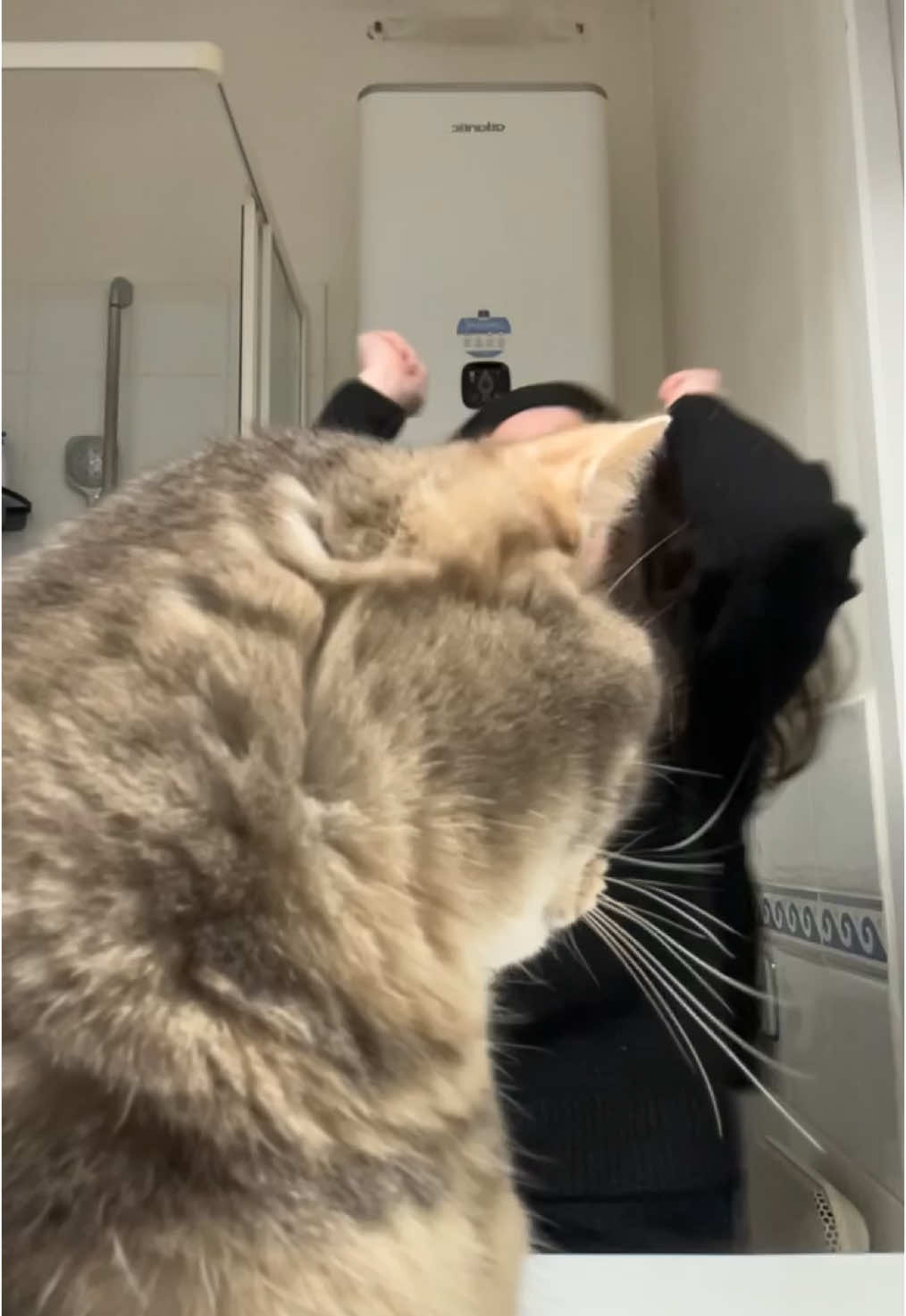 @Le_drama.cat 🇫🇷