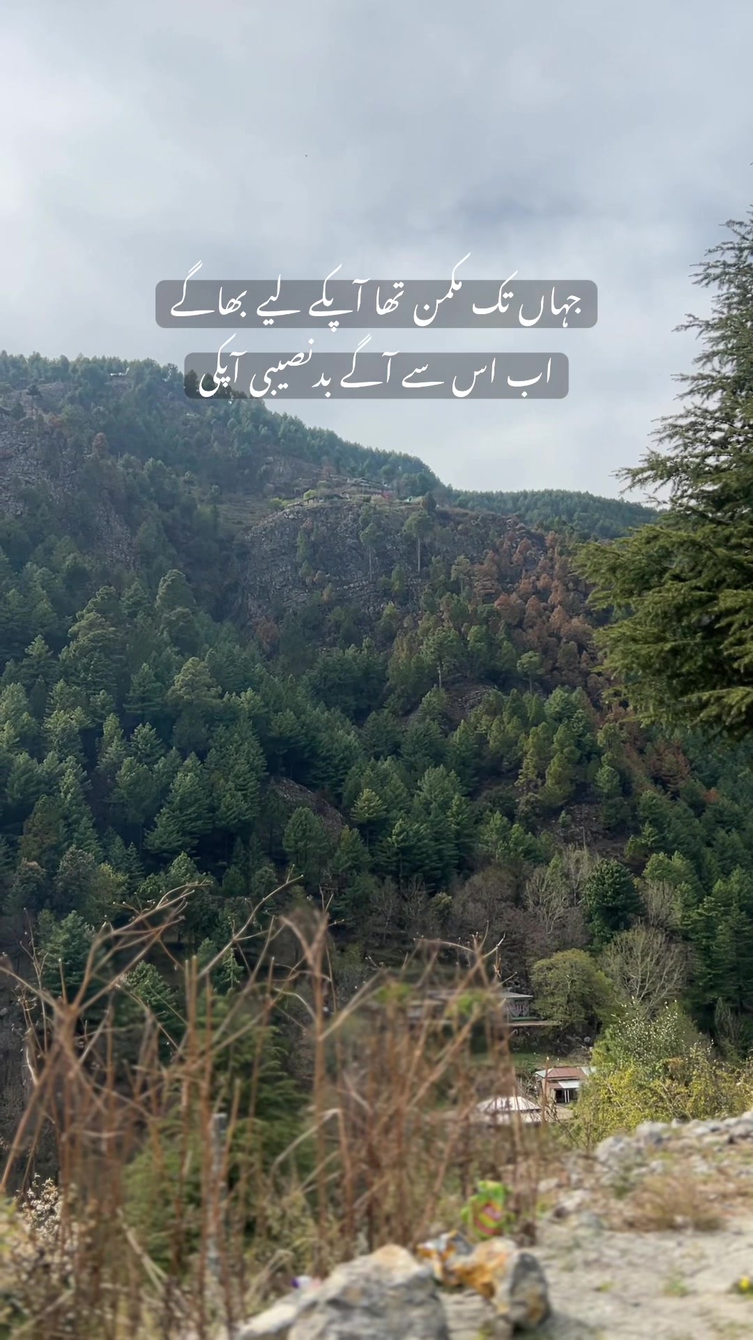 @سزاِ عشق❤️🔥
