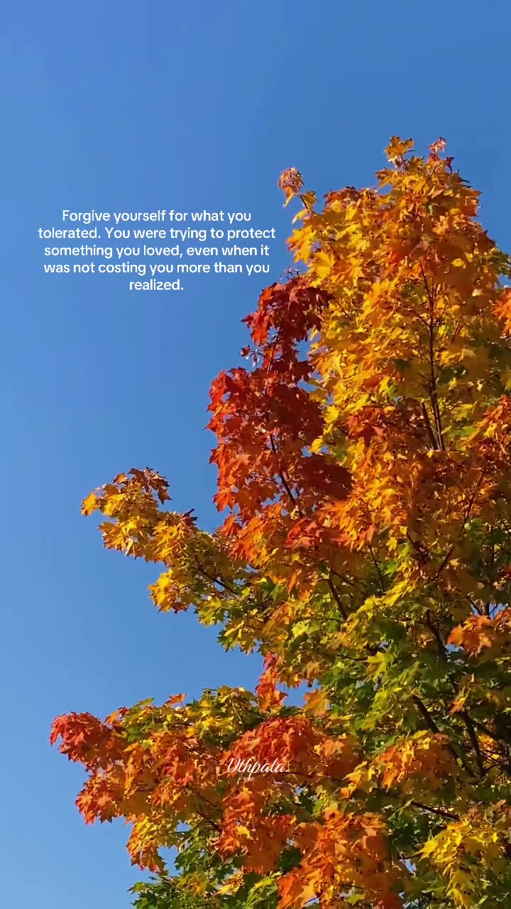 @Uthpala_🇱🇰🇬🇧