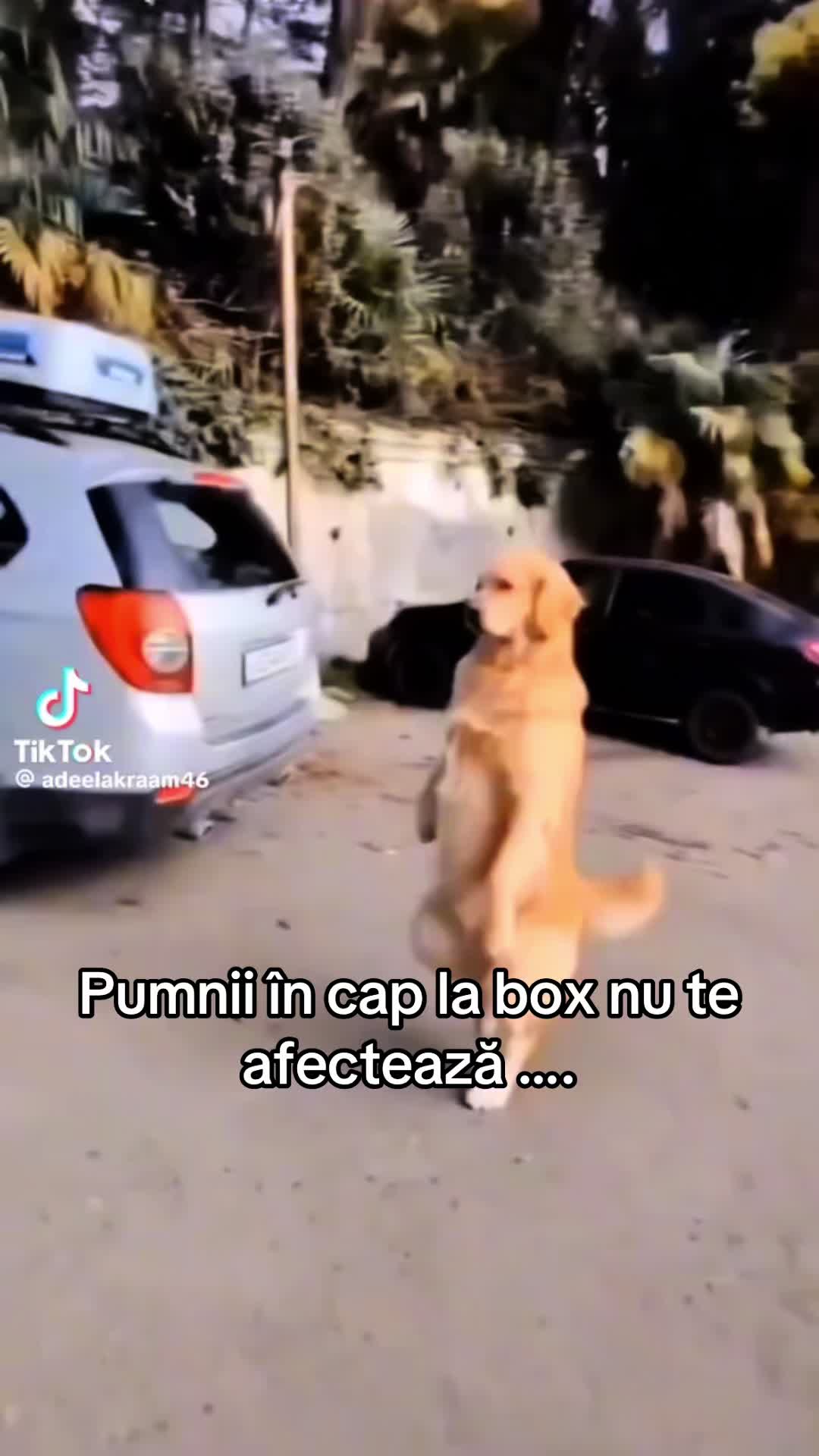 @Tange_1