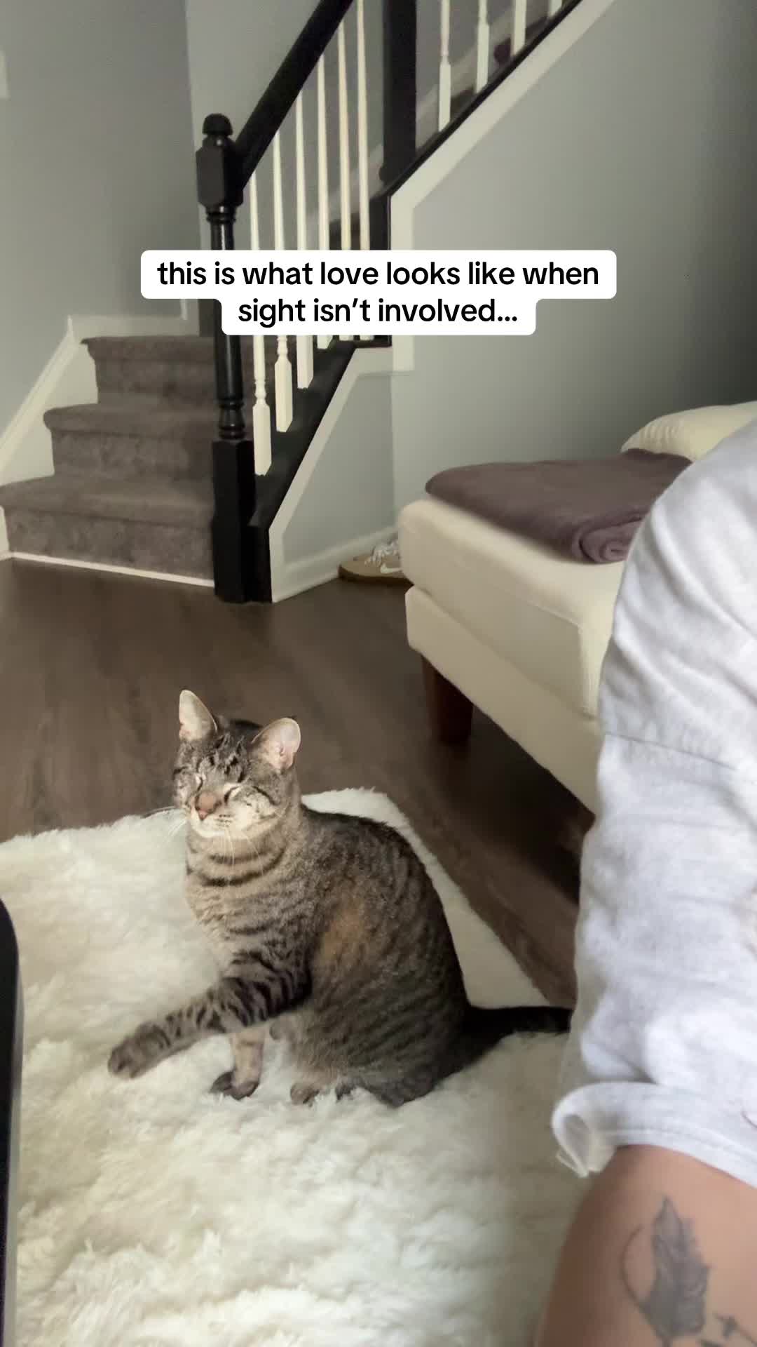 @𝘼𝙢𝙗𝙚𝙧 & 𝙎𝙩𝙚𝙫𝙞𝙚