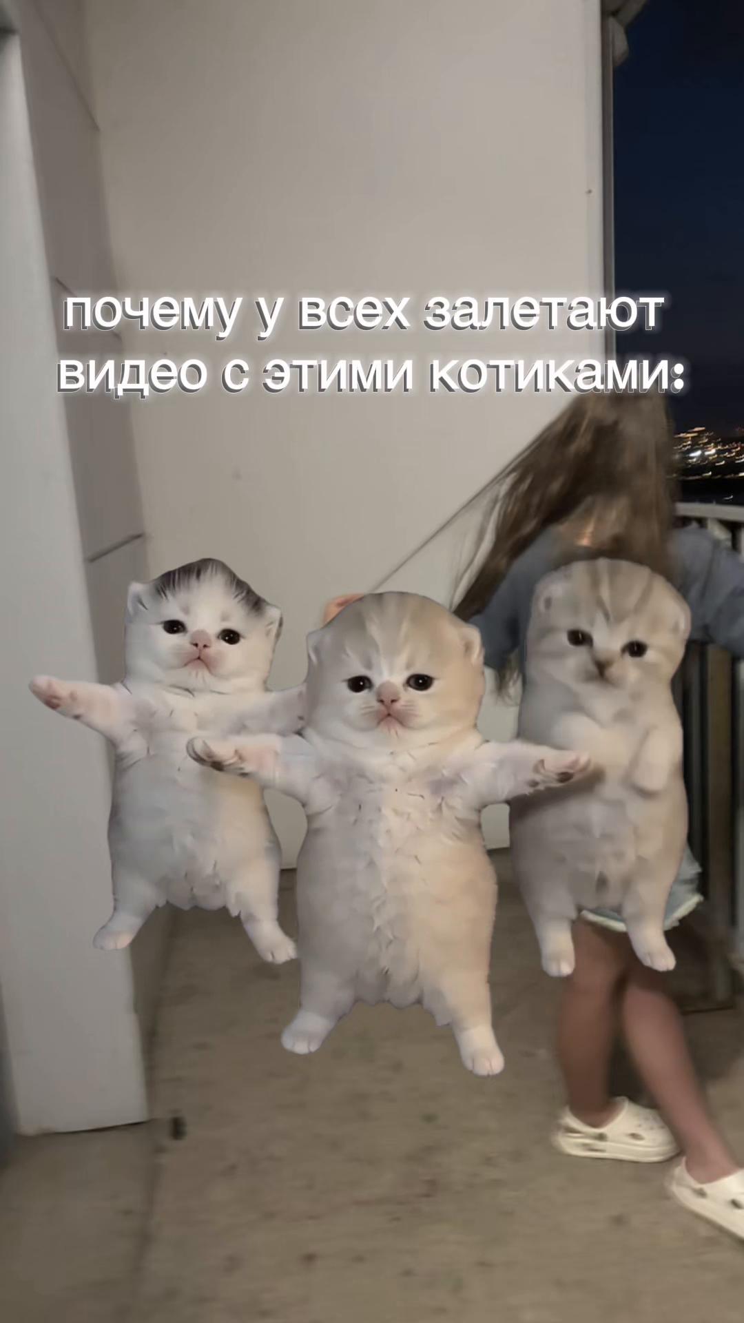 @викусик