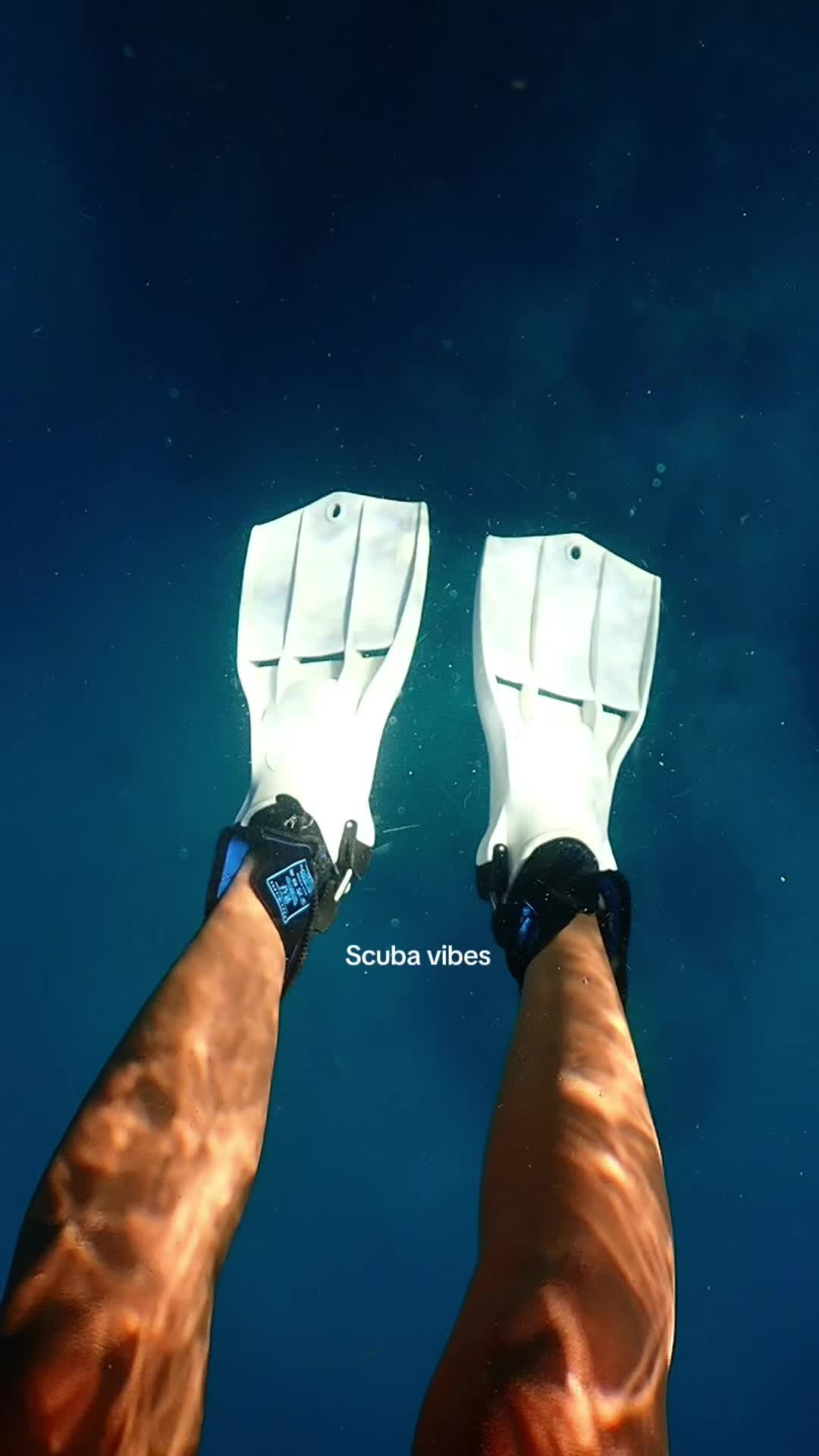 @Sandra | Scuba girl ๐ฉ๐ช๐ฌ๐ง