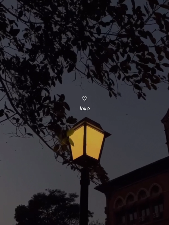 @ᶻᵘⁿⁱⁱ~