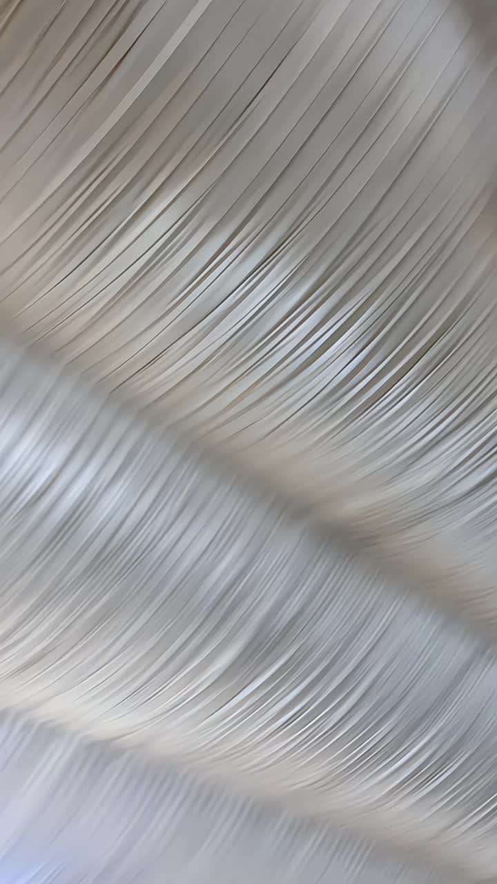 @𝖐𝖎𝖘𝖍𝖎 𝕽𝖆𝖏𝖕𝖔𝖔𝖙🦅