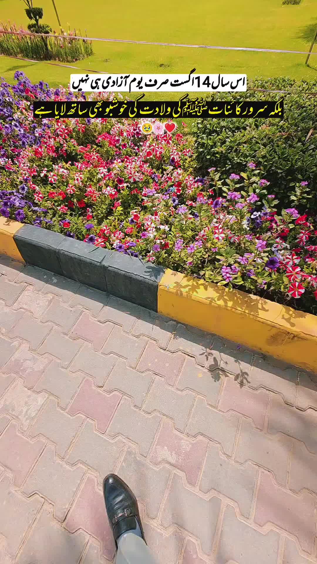 @DrMujahidDHQNNS