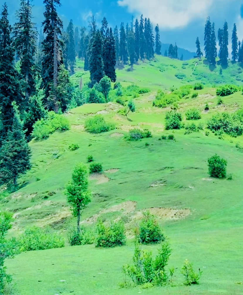 @بالاکوٹ  کی  شھزادی👸