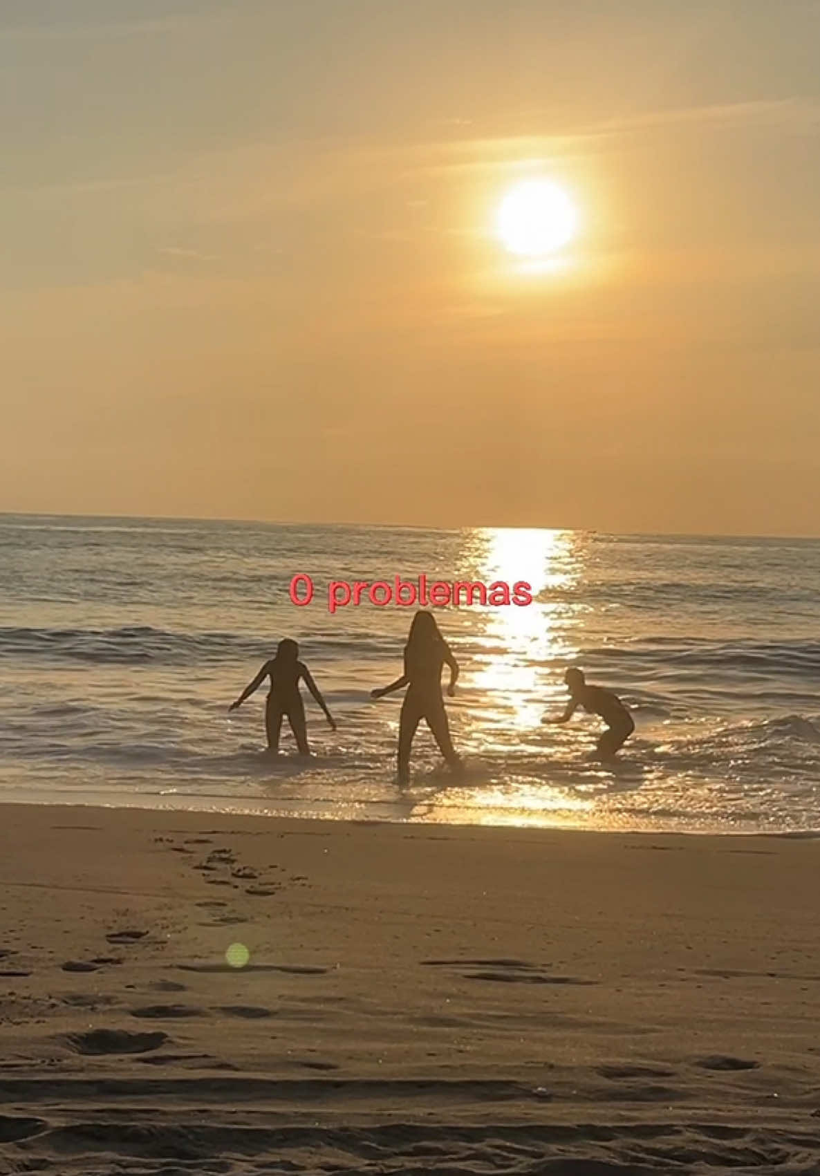 @Carla Arredondo