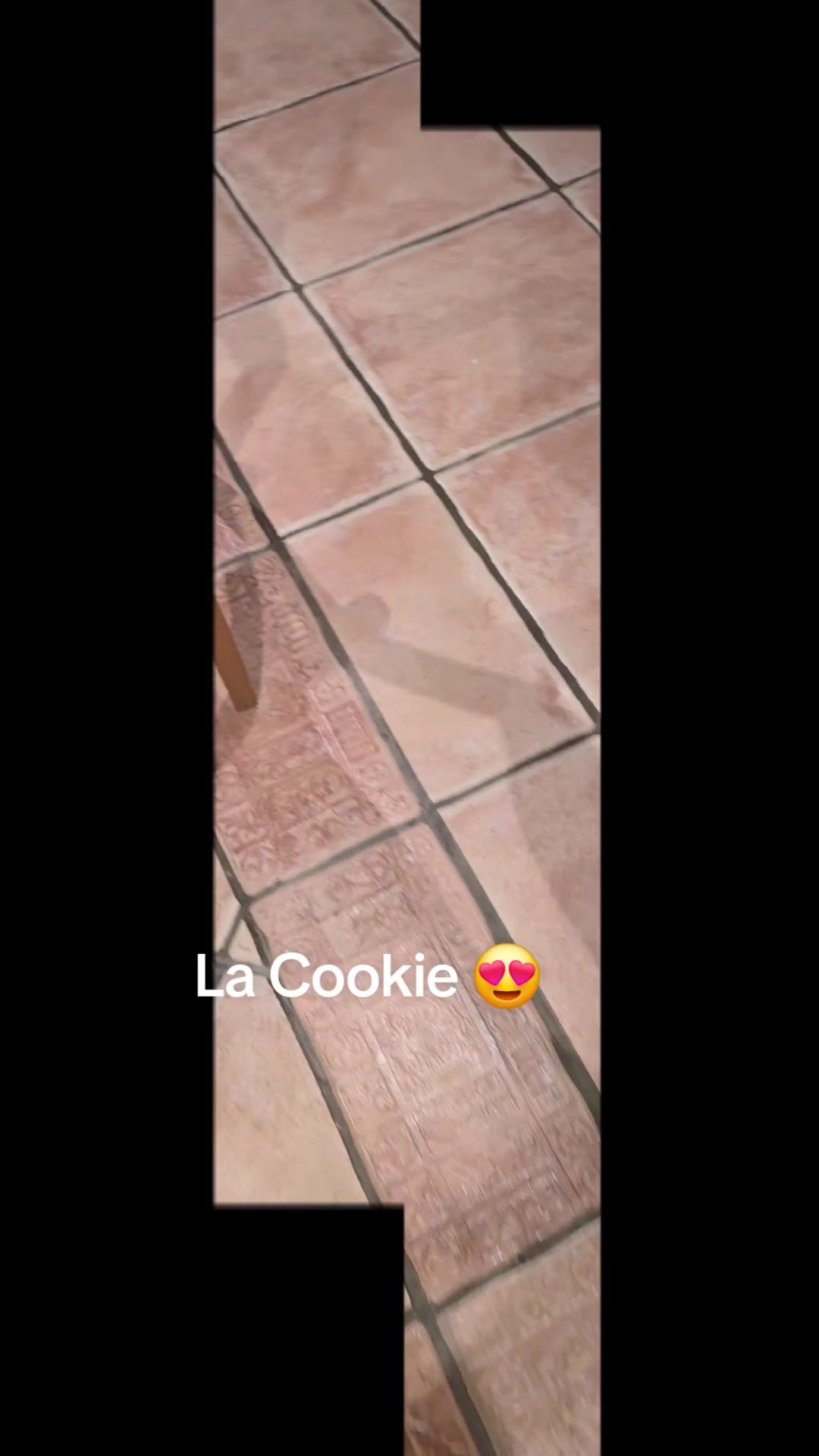 @Pakynorra