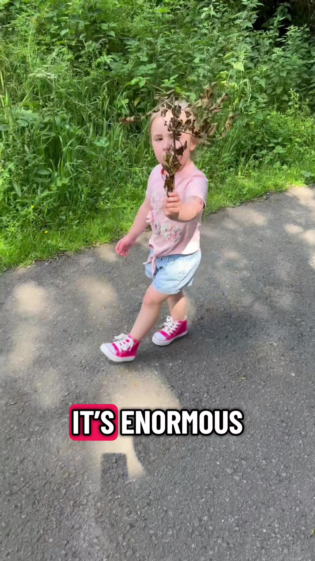 @thefunaunties