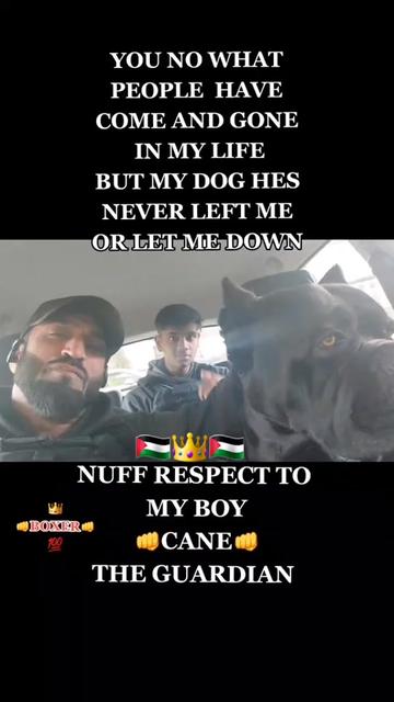 @Boxer