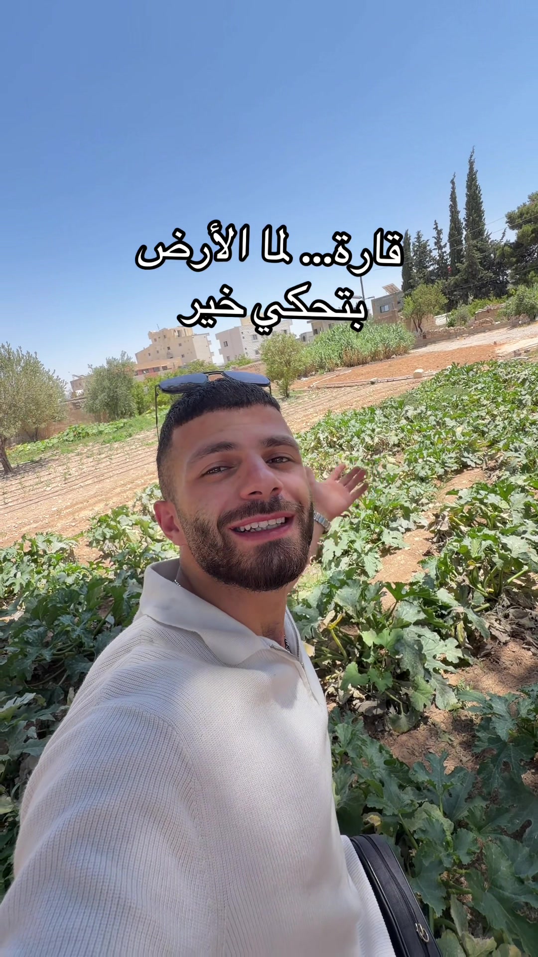 @Al-Arabi Market العربي ماركت