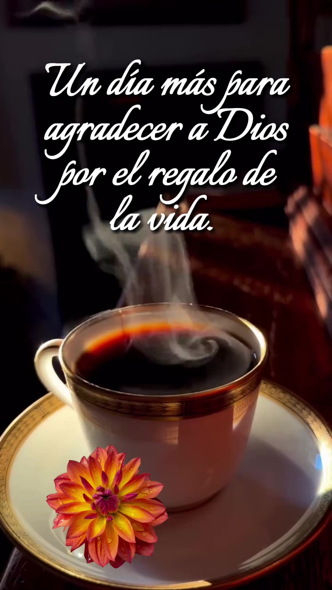 @Raquel Lopez