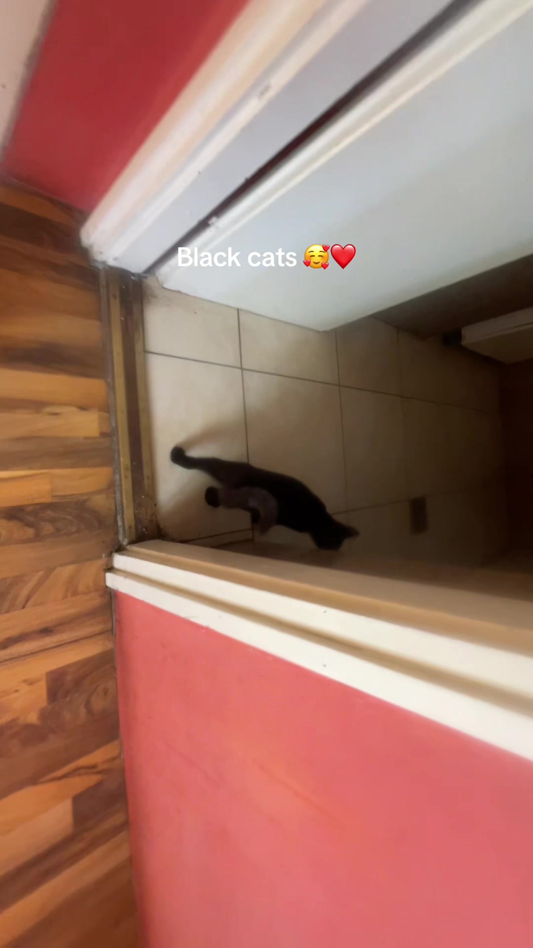 @🥰گMisikeگ