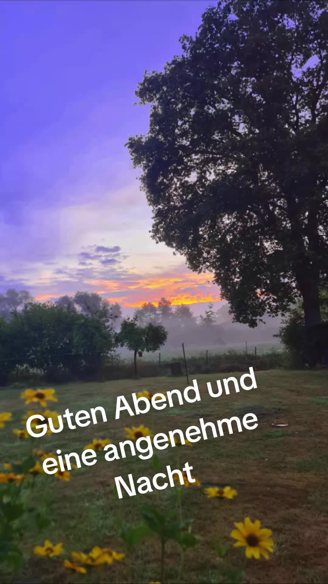 @Birgit