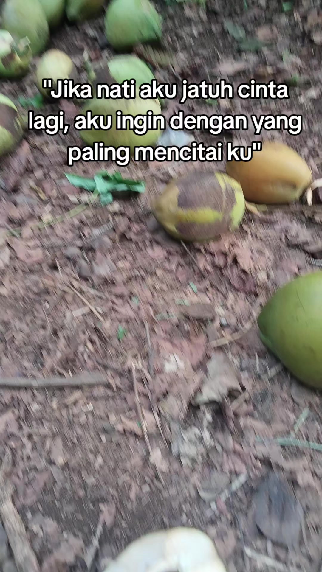 @@BANGKIT_MANDIRI01