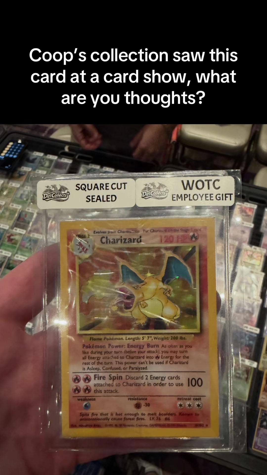 @PokéTee