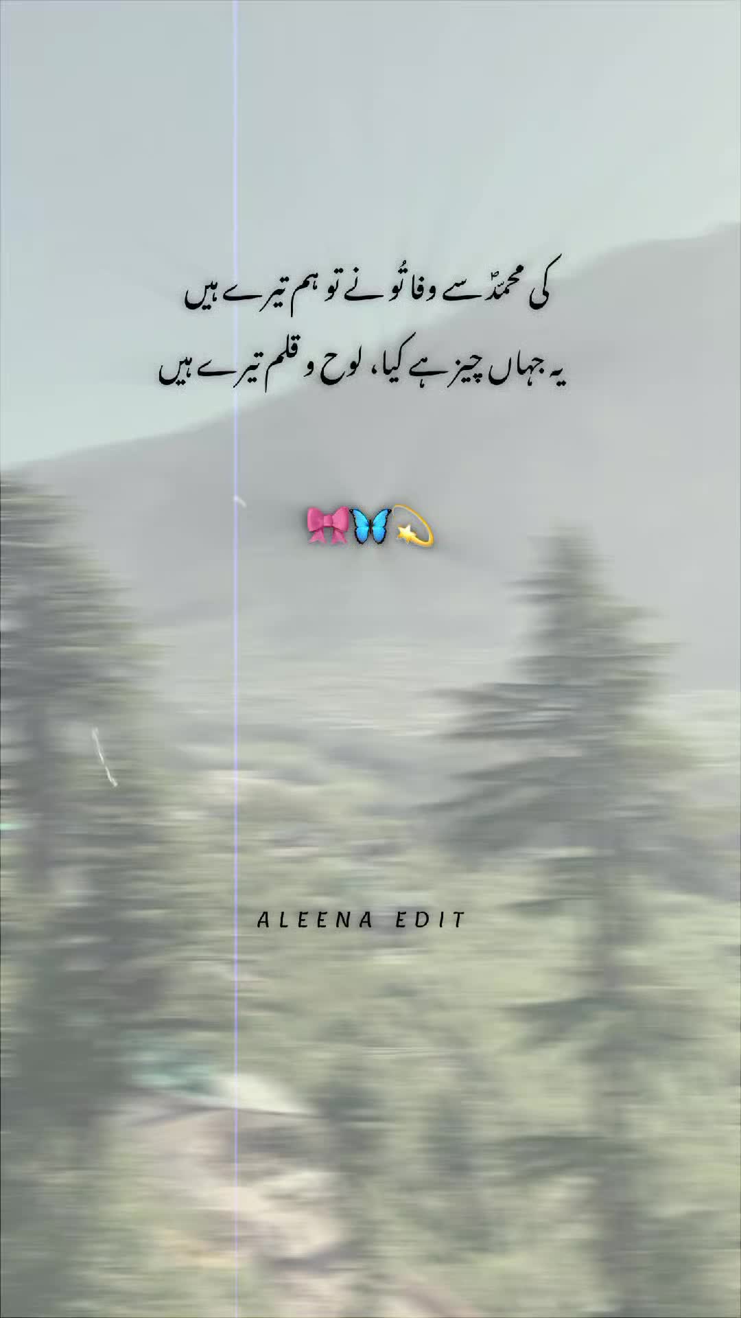 @💫 Islamic Lines 💫