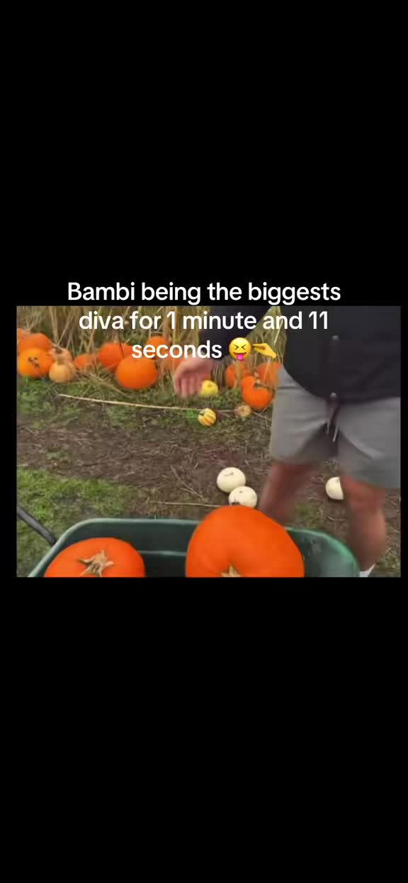 @mollyandbambi.spam