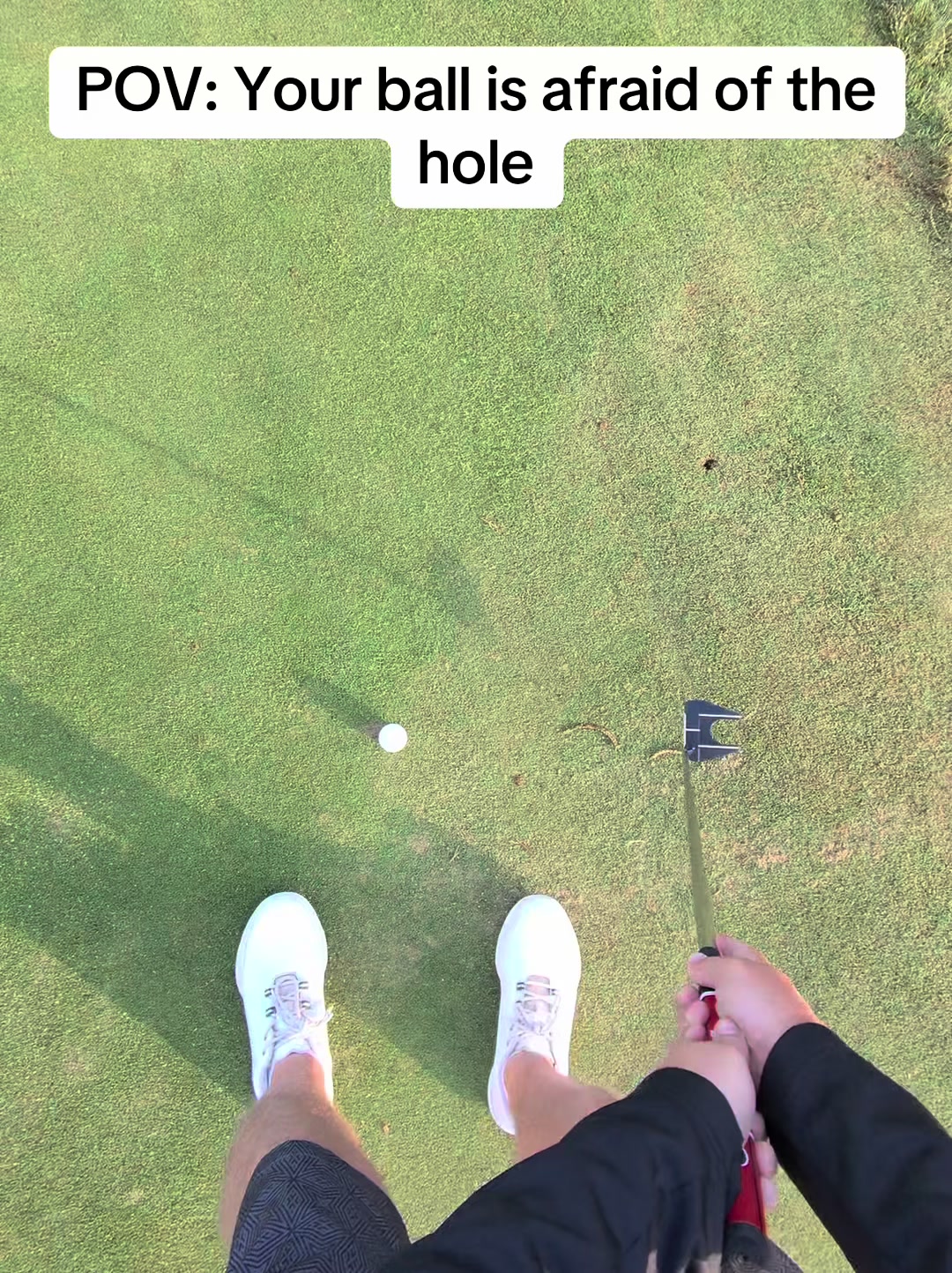 @GolfBite