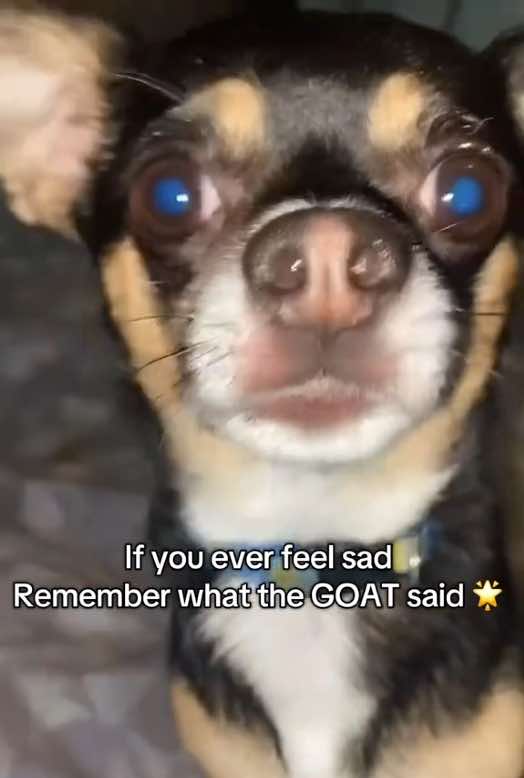 @CL4PCHEEKS