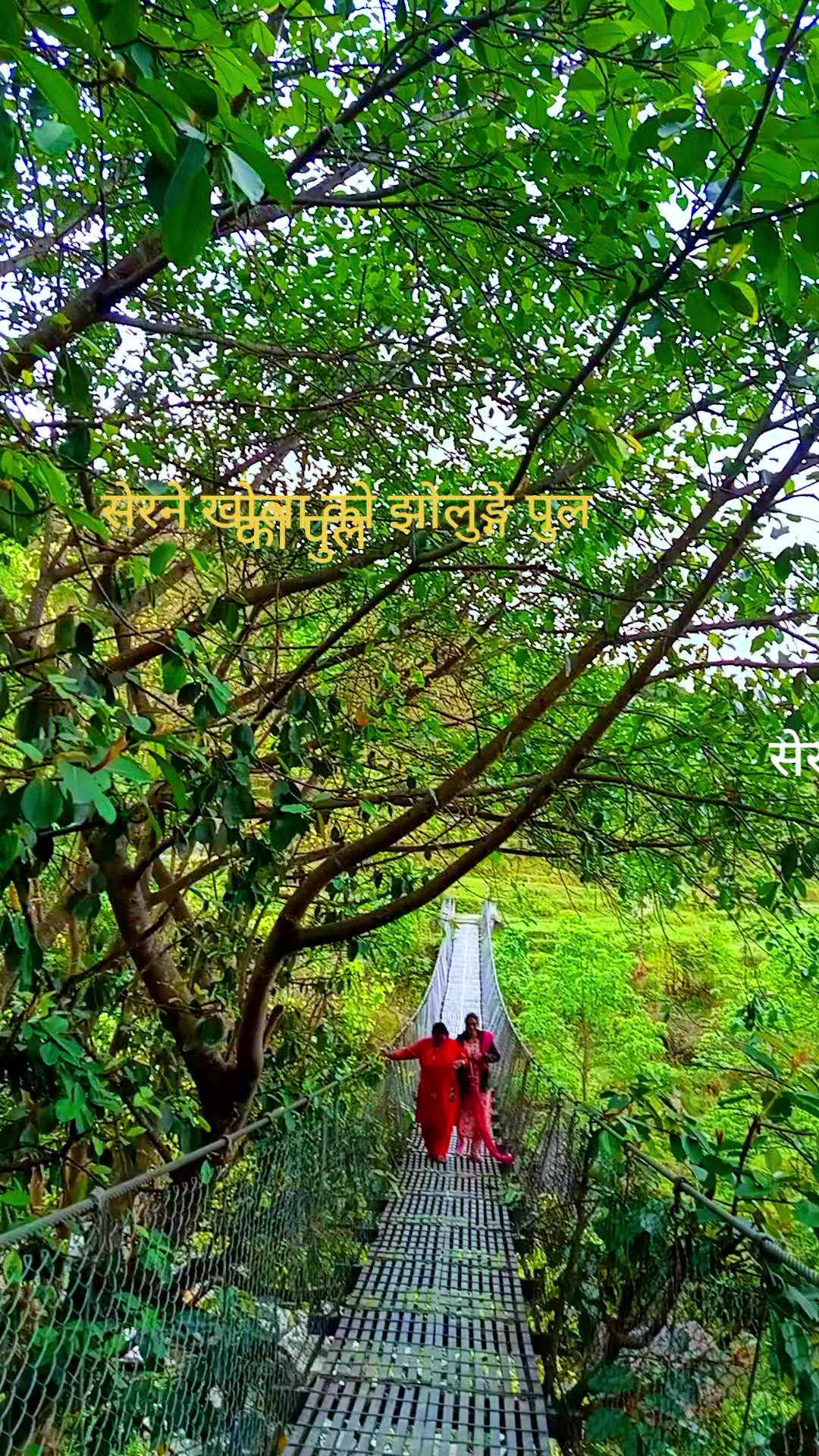 @Bhima Niraula