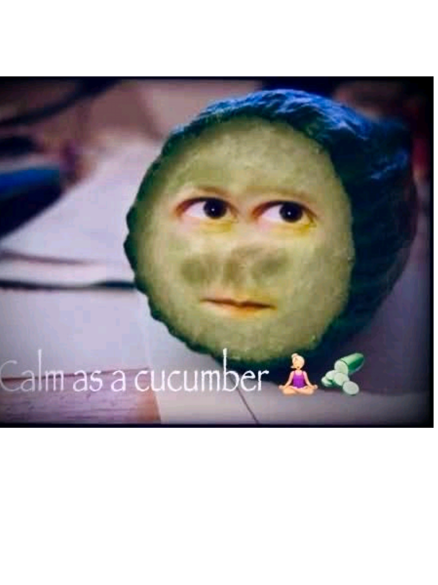 @caidennsui