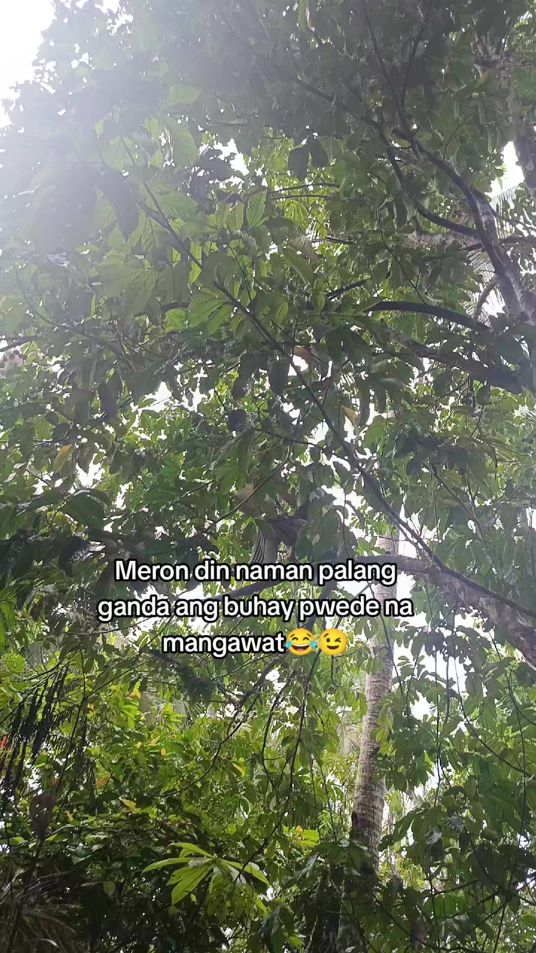 @Betham Morales