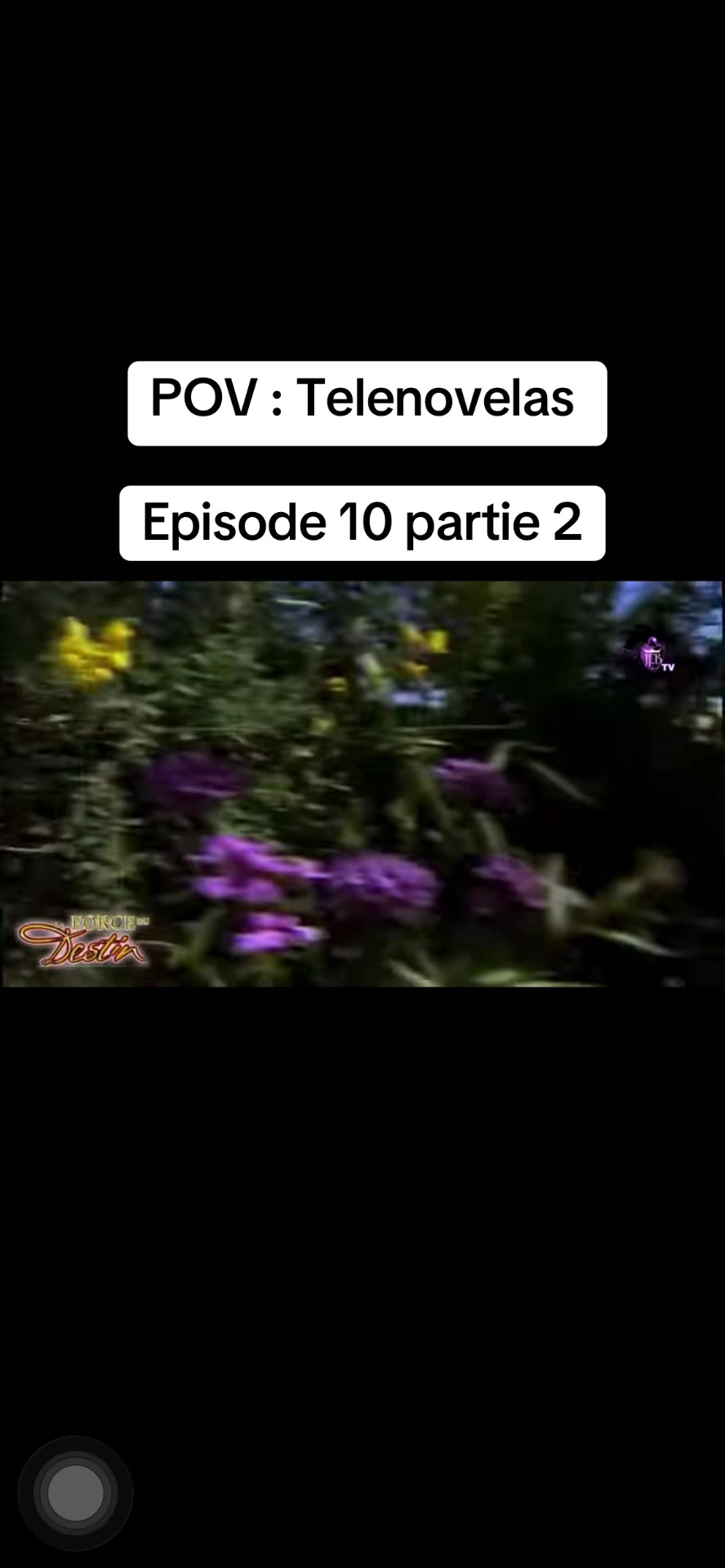 @dd_Telenovelas