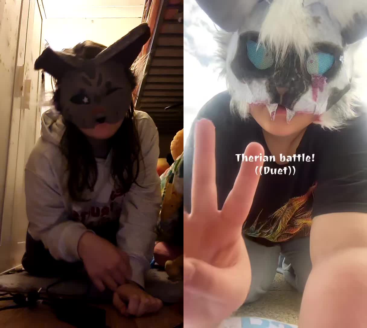 @essa!🐾
