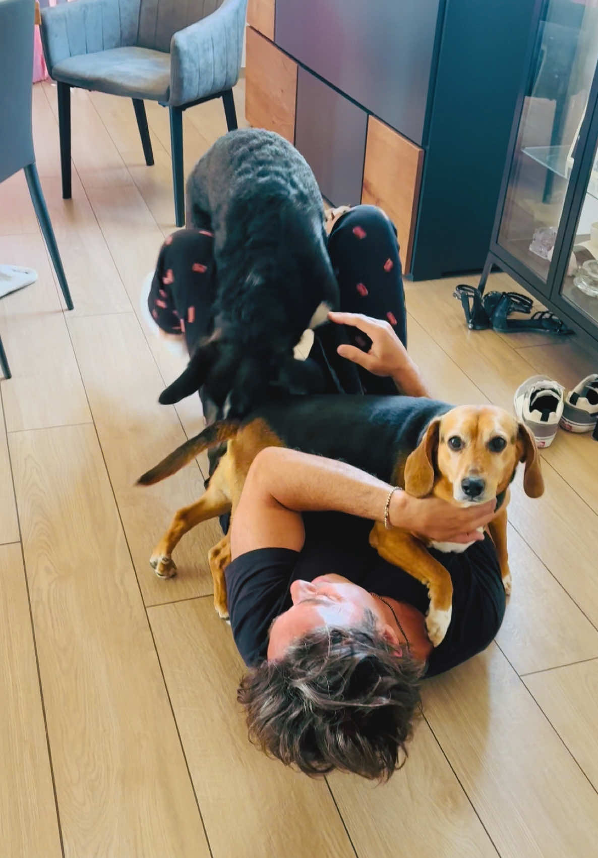 @Cippy & Romeo-a🤣