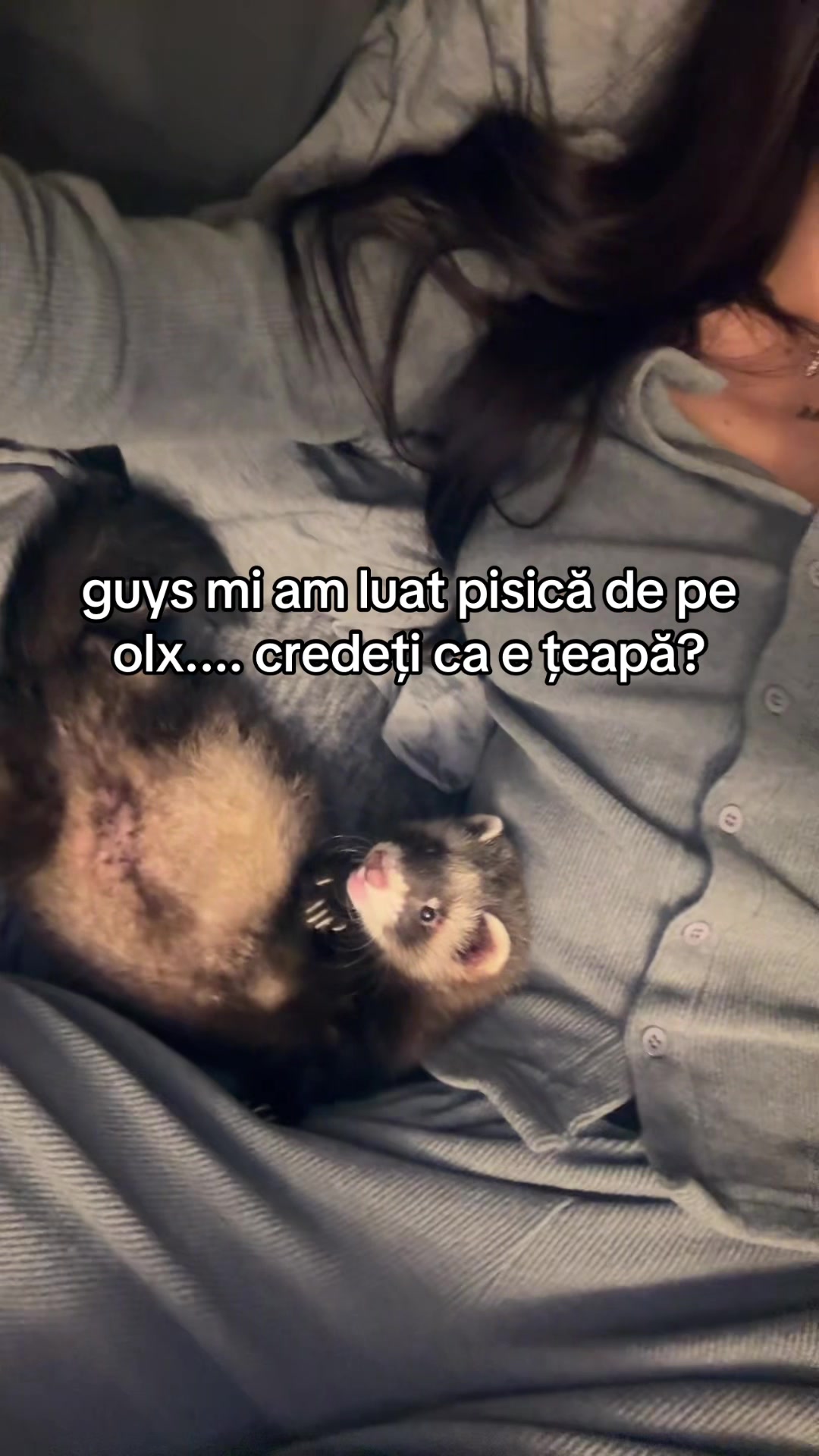 @dxdelia