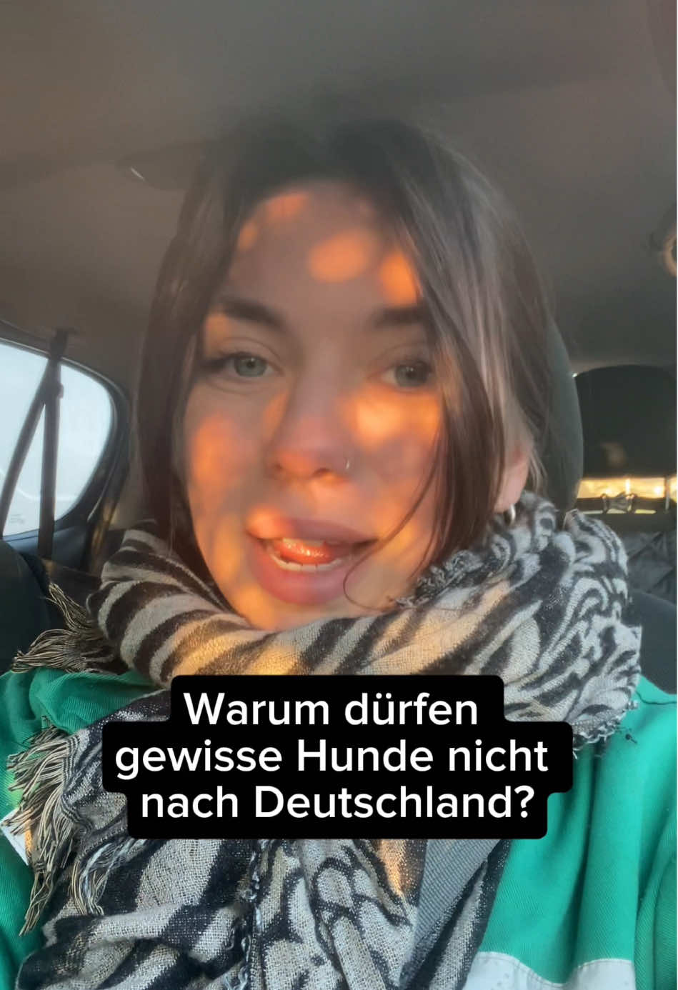 @arcadogsandayleen