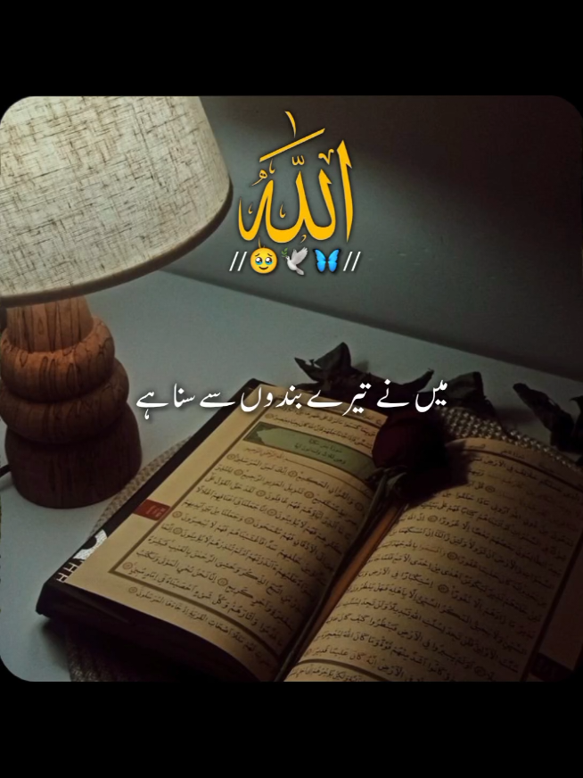@✨Shahbaz-edit✨