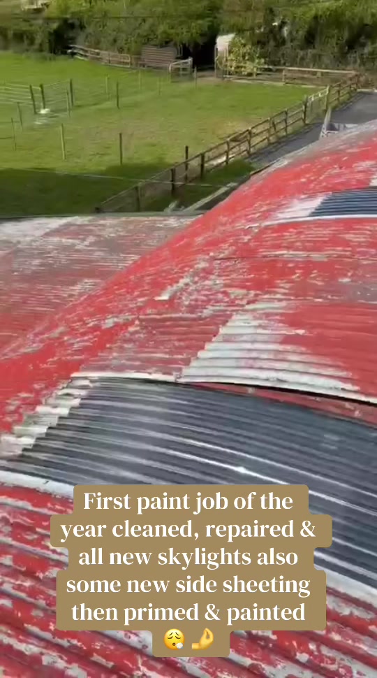 @Leinster Farm painters