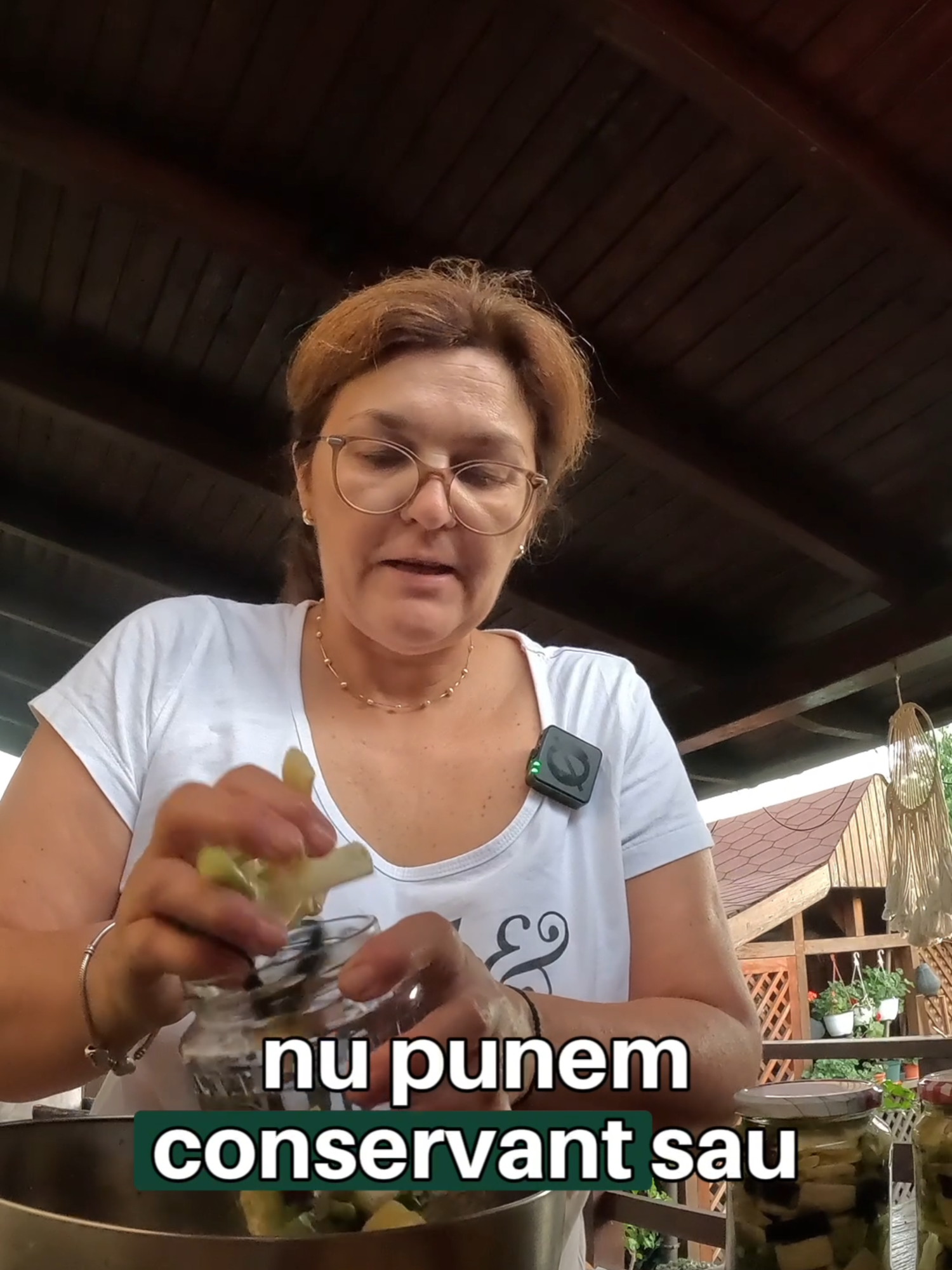 @Din Codru