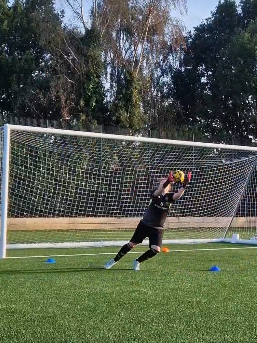@hodge_gk