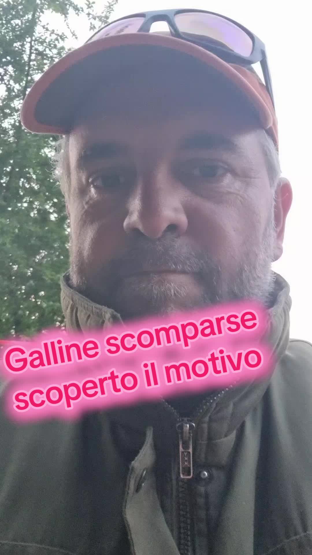 @Il leone e la gallina