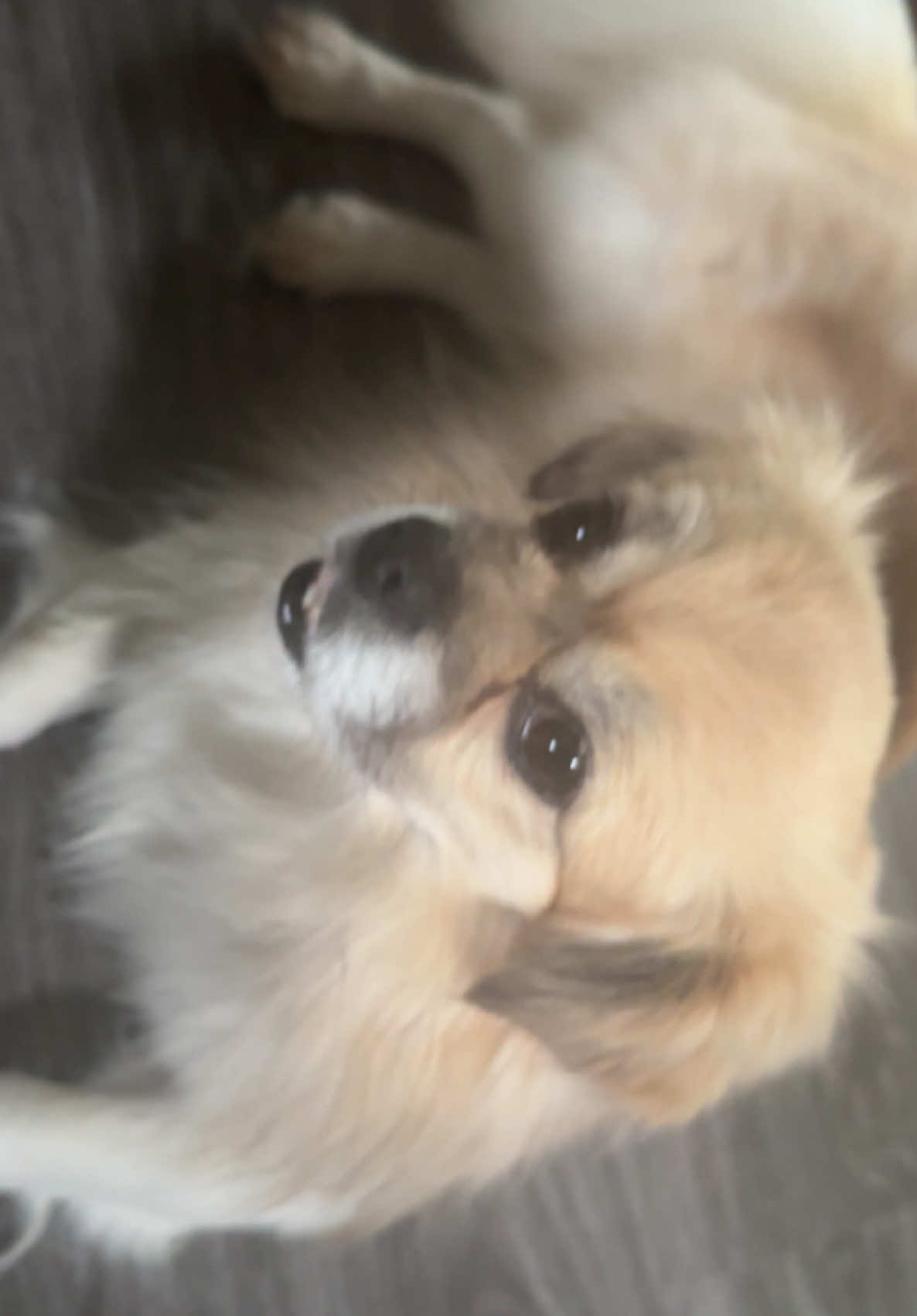 @𝓥𝓮𝓷𝓵𝓪 💋