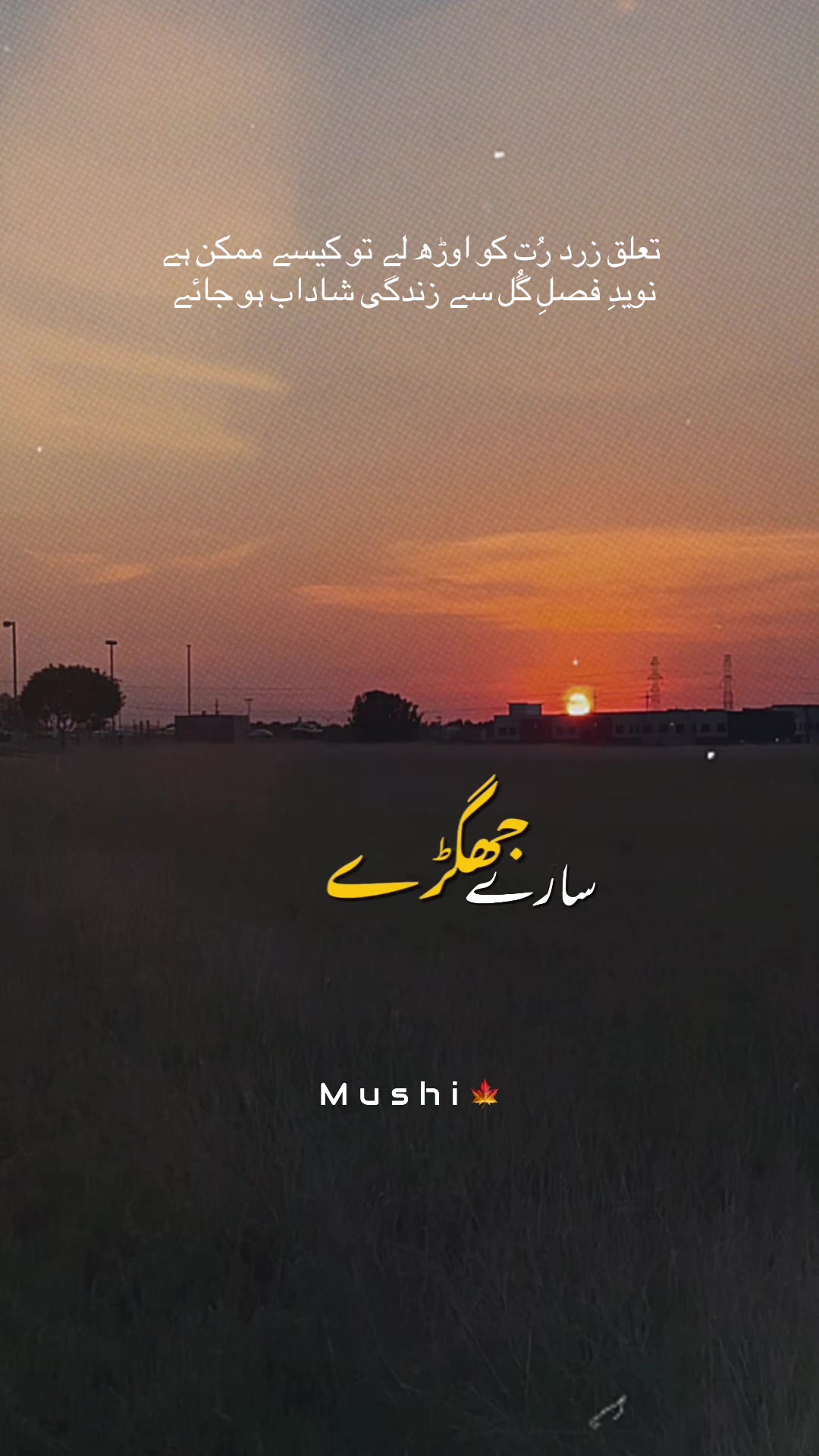 @Ayzal🍁Mushi