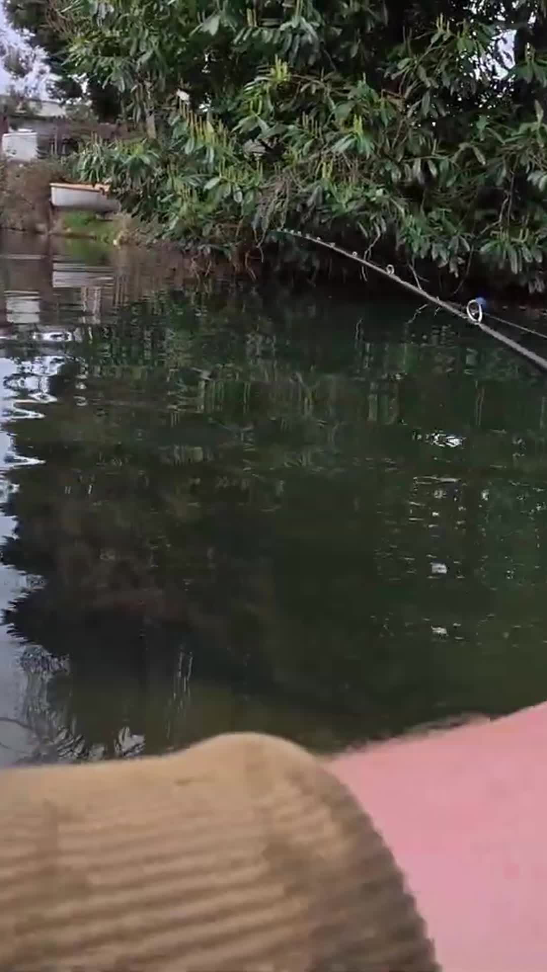 @Fish With Carl